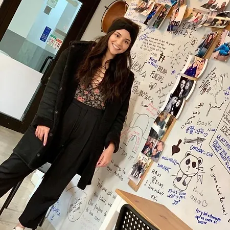 Auberge de jeunesse Lion & Youth *