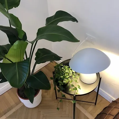 Apartamento Bnbutler - Guercino, 8 - Renovated Design