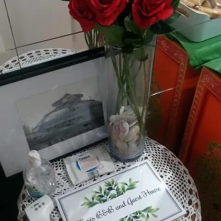 Casa de hóspedes Floris *