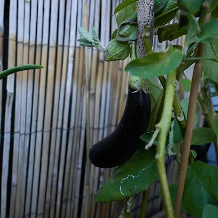 Attico Con Terrazzo - - Duomo 10min דירה