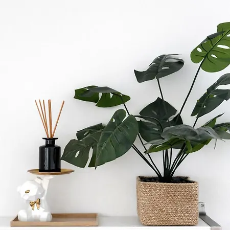 The Boutique - Duomo - Via Torino شقة ميلان