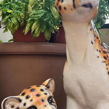 Pier's House - Attico A 3 Chilometri Dal Centro Apartamento Milão