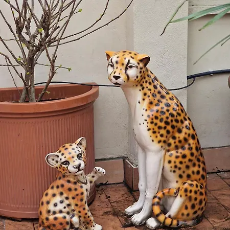 Pier's House - Attico A 3 Chilometri Dal Centro