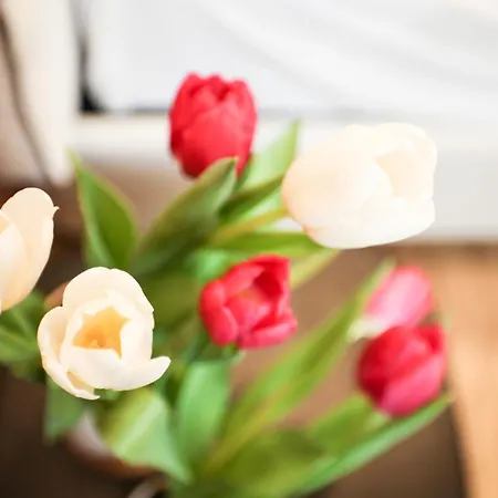 Ca Bela - Venini ミラノ