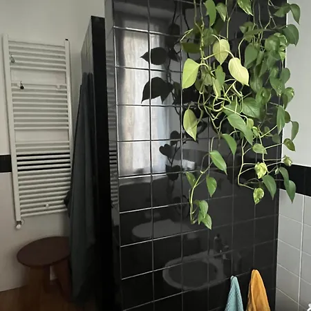 Romana Apartment *