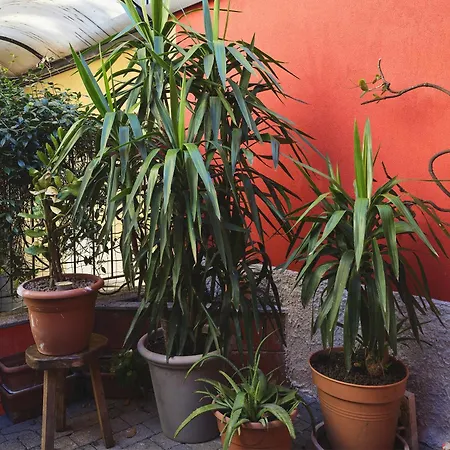 Apartment Independent Design Loft With Private Terrace -