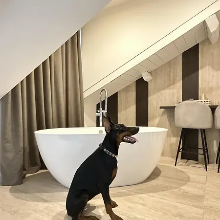 Brera Prestige Near Duomo Apartman