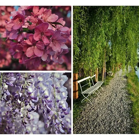 酒店 Boutique Borgo Nuovo 米兰