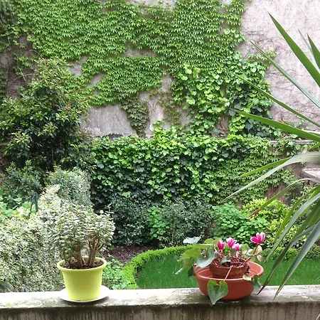 Hostel Lumiere