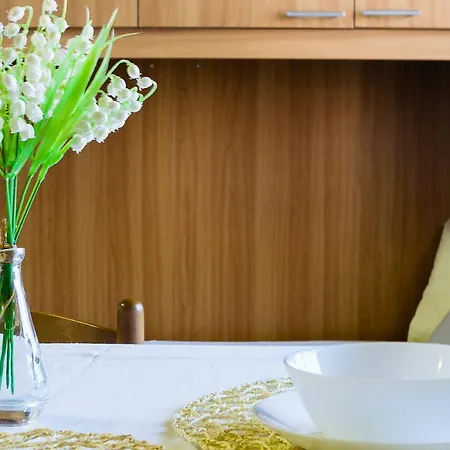 Apartment Oasi *