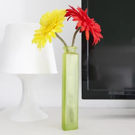 Alessia's Flat - Breno 1