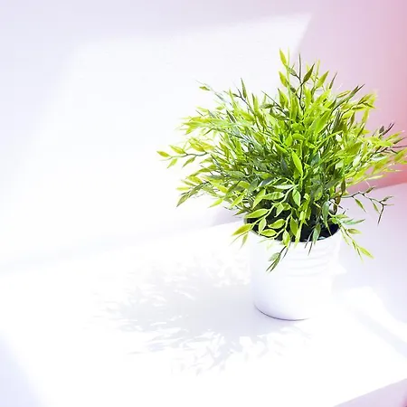 Via Breda 120 Lejlighed