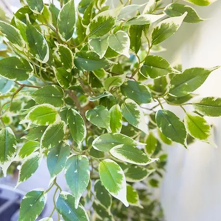 Via Breda 120 * Milano