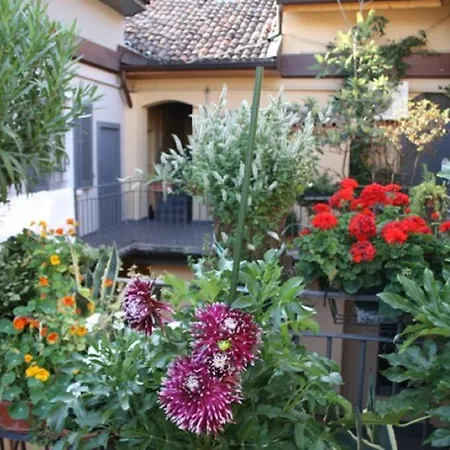 Modern In Navigli *