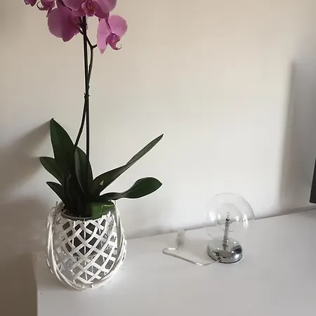 Volta In Brera * Milan