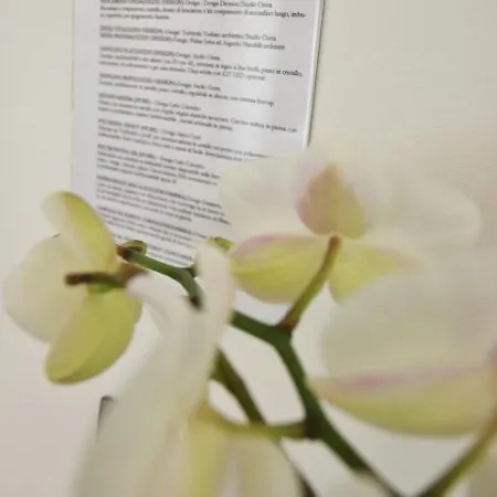 Experience Design Bed&show