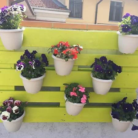 La Terrazza Gasthof 3*