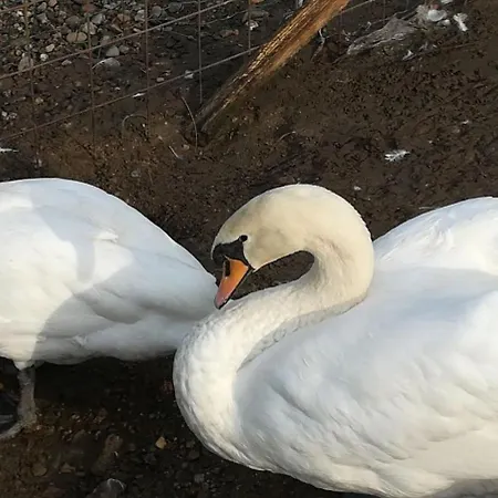 Dolce Luna Alloggio per agriturismo Milano