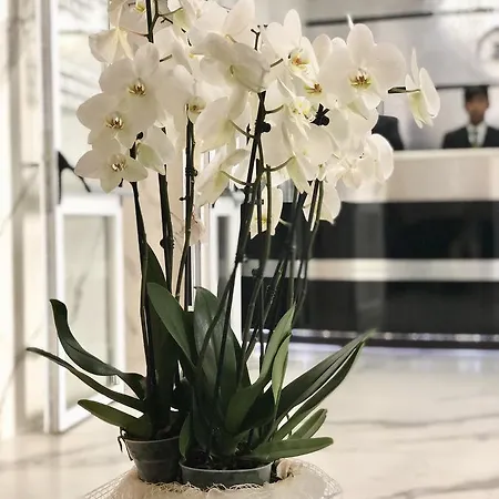 بولتسانو 3*