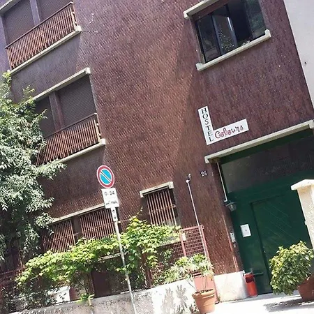 شباب كالارز بيت شباب *