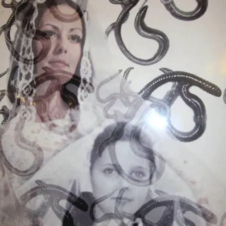 Hotel Virgilio Mediolan