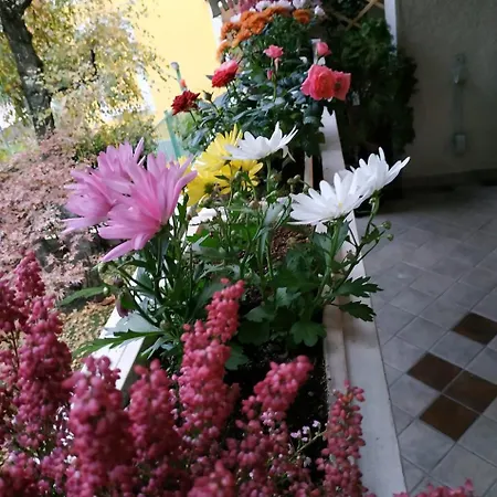 Yourhouse S.raffaele 2 מילאנו