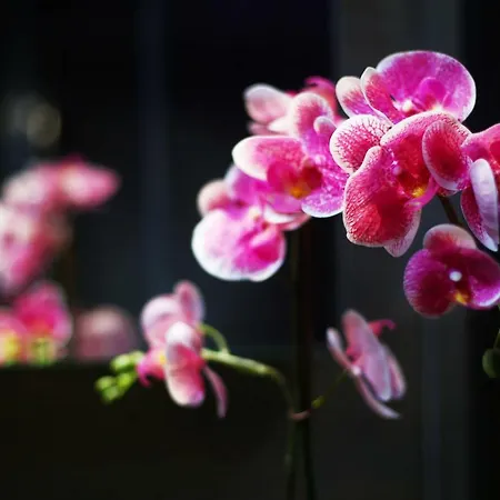 Ξενοδοχείο Garibaldi Fifty Attic Near Duomo
