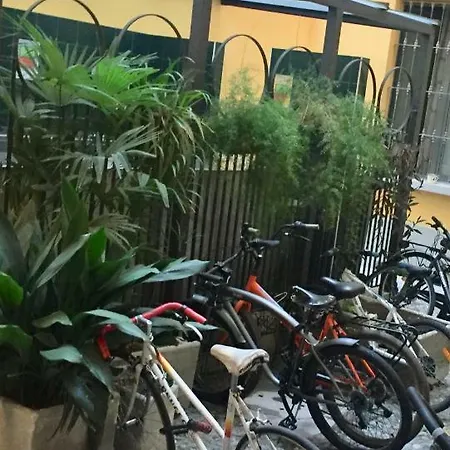 The Pearl - Of The Spots In