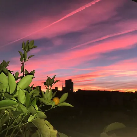 بيت ضيافة Flowers ميلان