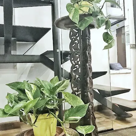 Charming Design Loft Isola 아파트
