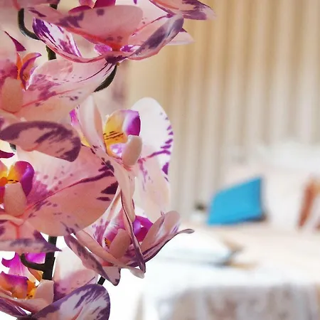 Affittacamere Duomo 4*