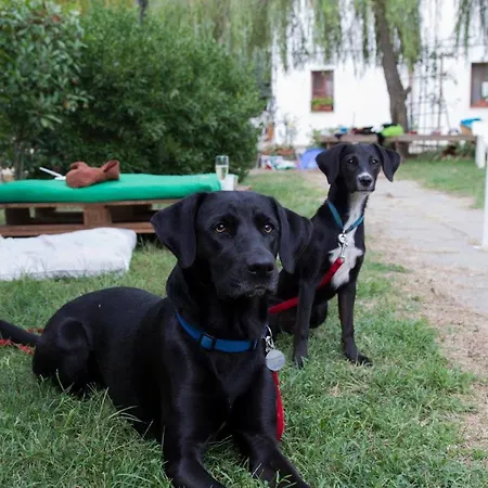 Giacosa Bed & Breakfast