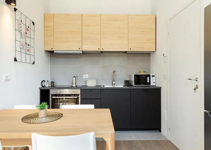 Joivy Solari Tolstoj Milan