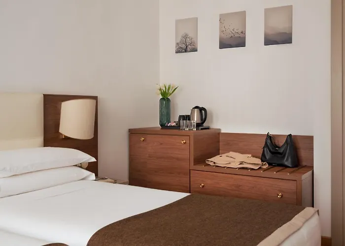 Hotel Romana