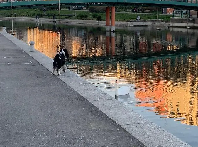 Con Terrazza In Zona Navigli - Tortona 아파트