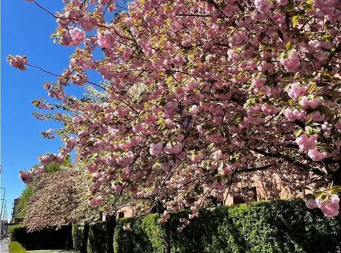 Tortona Fashion District * מילאנו