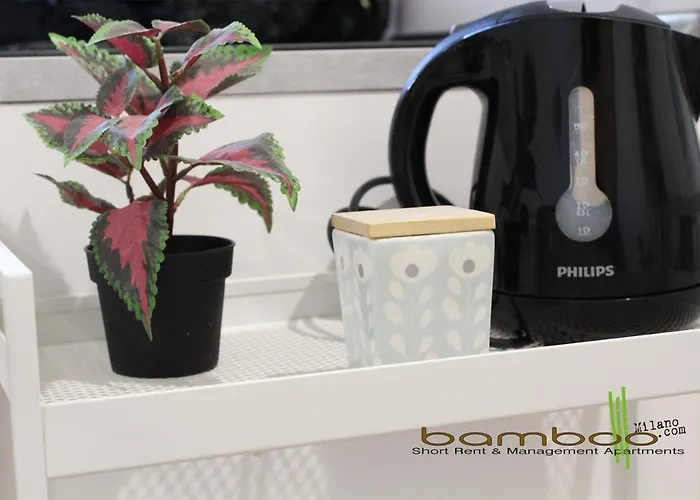 Bamboo Vallarsa *