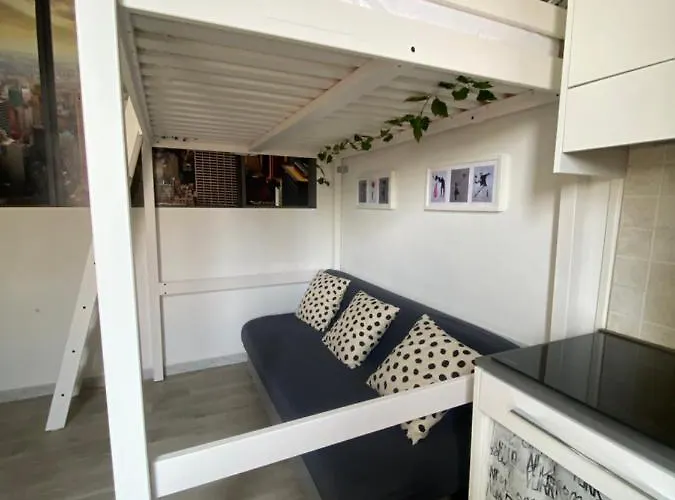 Domus *