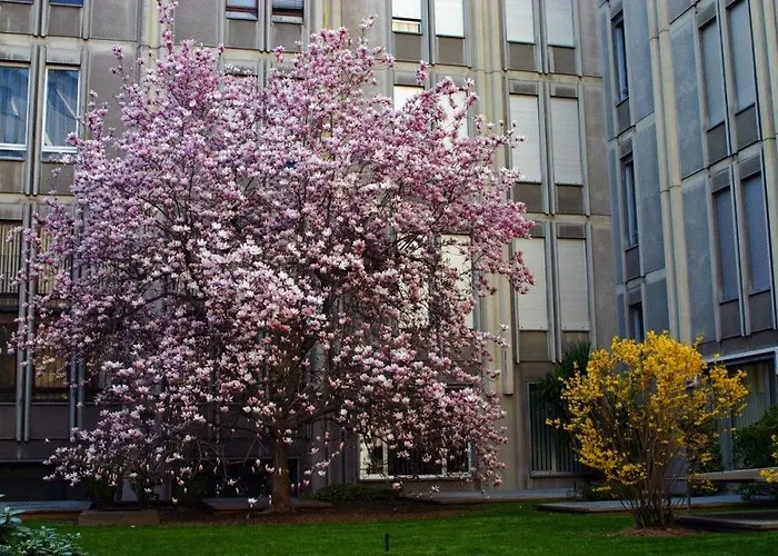 亚特兰迪克c酒店 4* 米兰