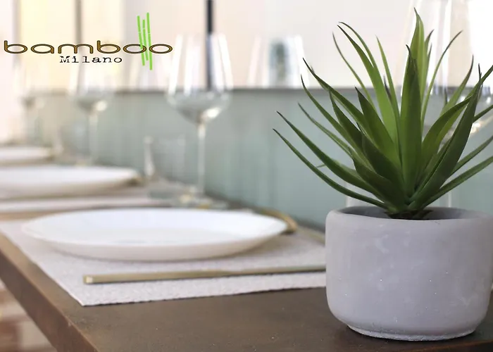 Bamboo Unione Class