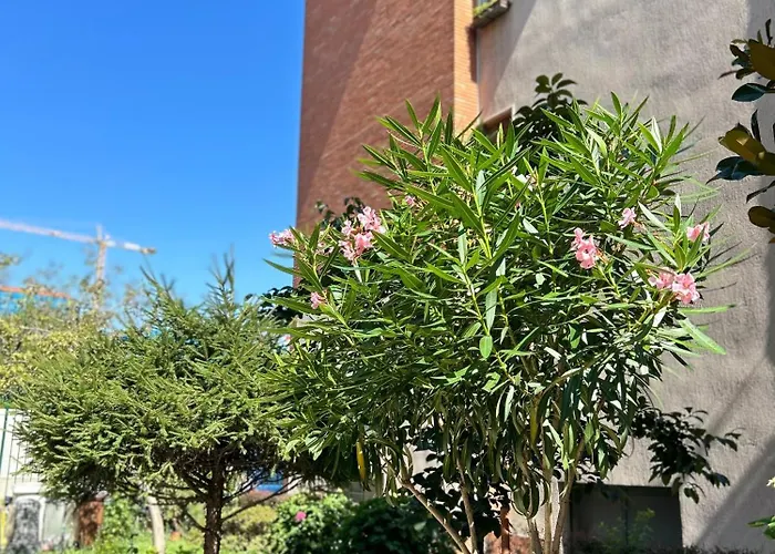 アパート Soggiornare Sul Naviglio ミラノ