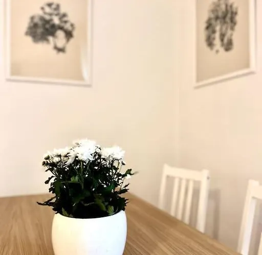 Appartamento Elegante In Centro *