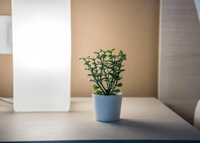 Shortmi Canonica Lägenhet *