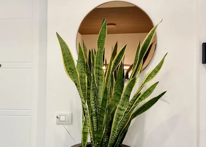 Teodorico Apartments - Quiet Garden View Apartment With Parking Apartament *