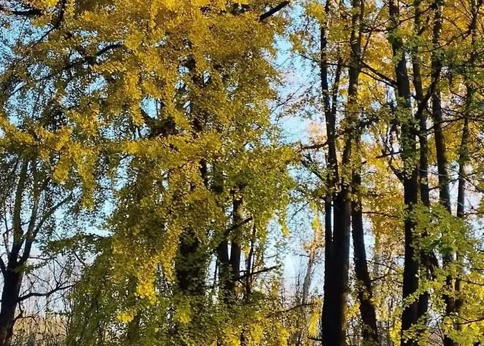 Appartamento La Pace Milano