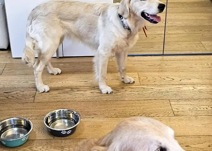 Sunny's House *