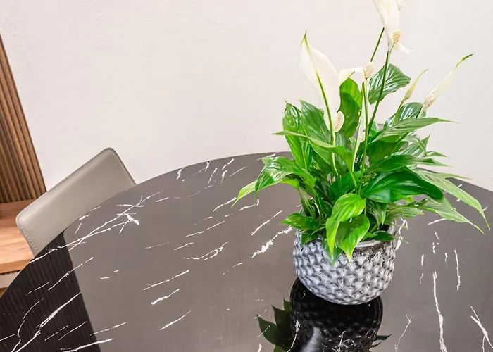 Mimar Porta Venezia Luxury * Milano