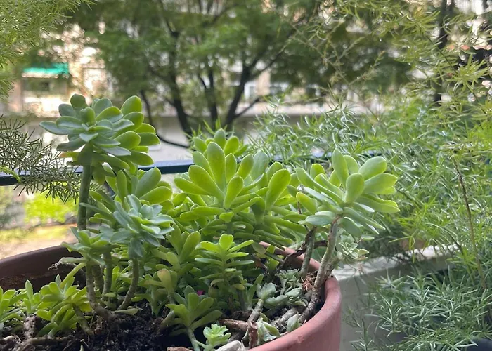 Ca' Crocetta ミラノ