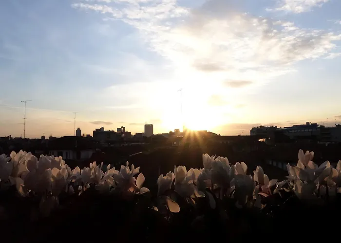 Couette-café Pattini