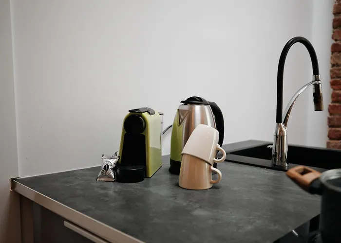 - Loft Industrial Chic 公寓 米兰